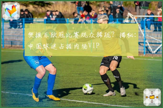 樊振东欧冠比赛观众稀疏？揭秘：中国球迷占据内场VIP