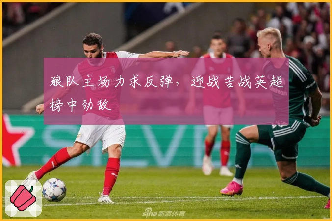 狼队主场力求反弹，迎战苦战英超榜中劲敌