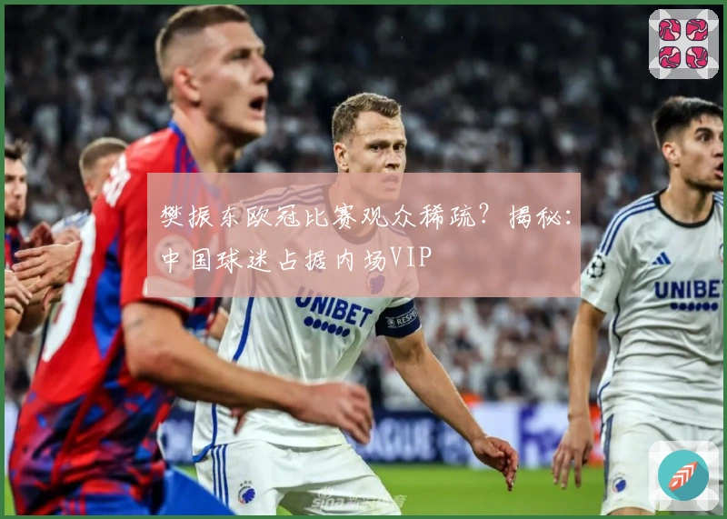 樊振东欧冠比赛观众稀疏？揭秘：中国球迷占据内场VIP