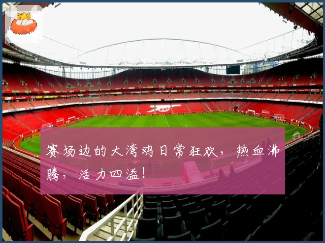 赛场边的大湾鸡日常狂欢，热血沸腾，活力四溢！