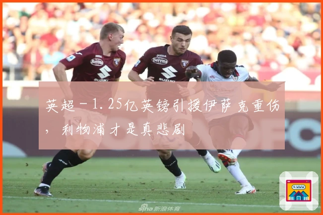 英超 - 1.25亿英镑引援伊萨克重伤，利物浦才是真悲剧